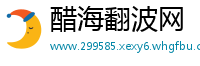 醋海翻波网